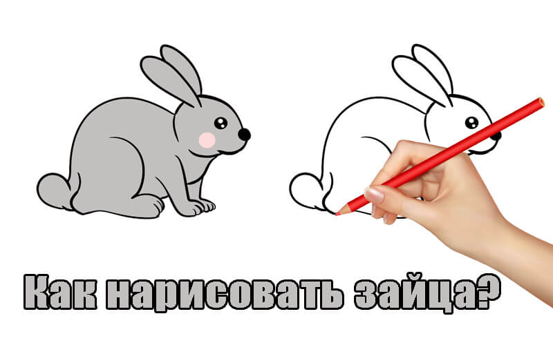 Super Easy! How to Draw a Cute Bunny 