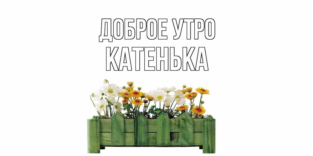 Открытка, Доброе утро, Катя, Катенька, Катюша, Котя, Катёнок