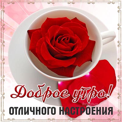 ❤️❤️❤️ Доброе утро, любимая ❤️❤️❤️ Самое красивое