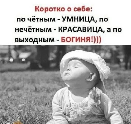 Смешные фразы и цитаты 