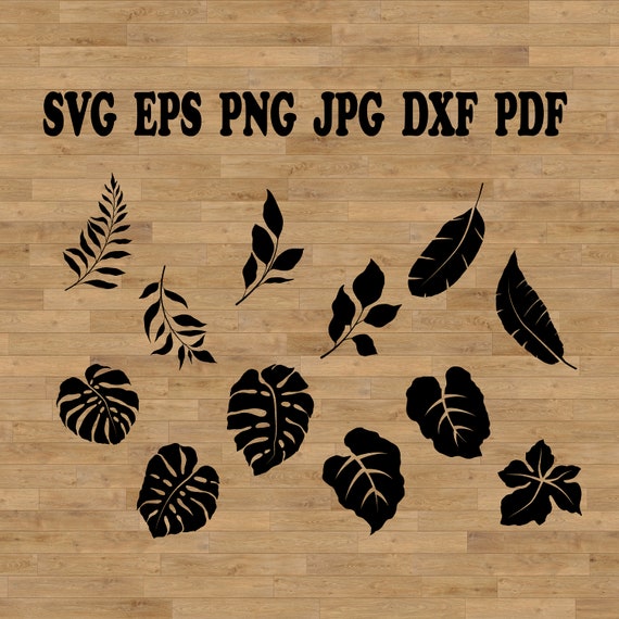 Monstera Leaf Template, Tropical Leaf