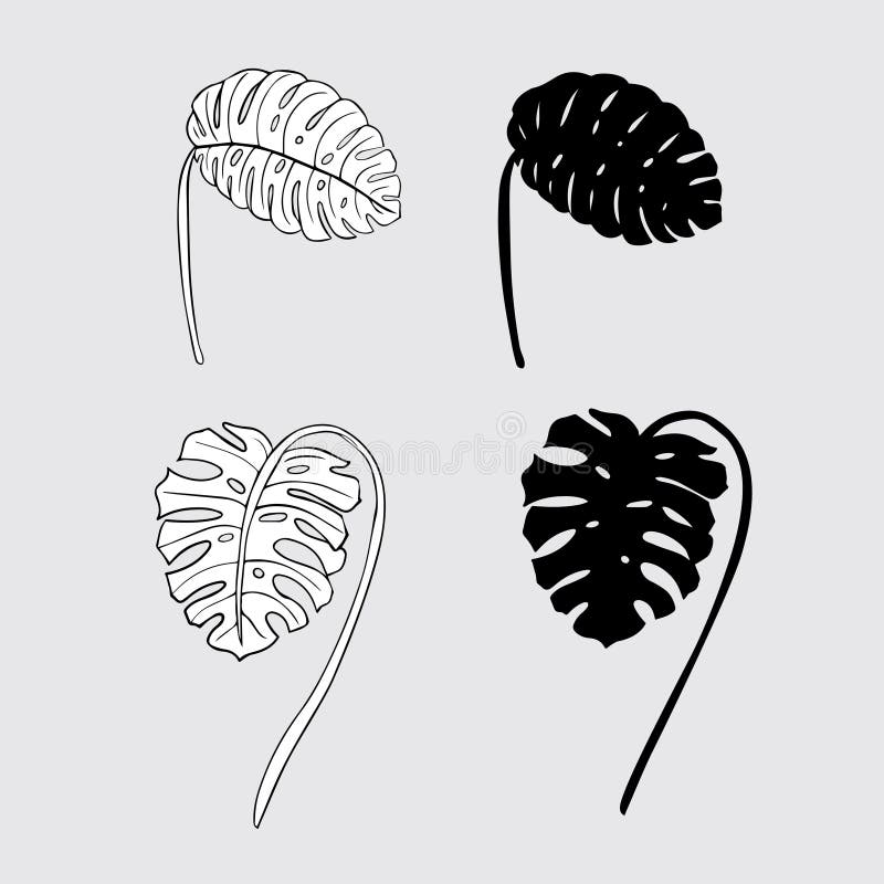 Buy Monstera Leaf Template, Tropical