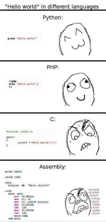 Programming memes make you happy