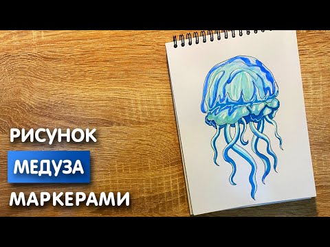 Как нарисовать медузу карандашом поэтапно ✏