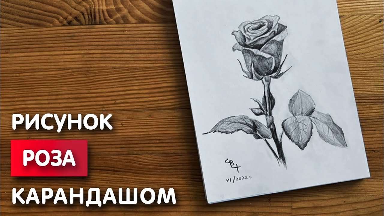 Как нарисовать пион карандашом поэтапно ✏