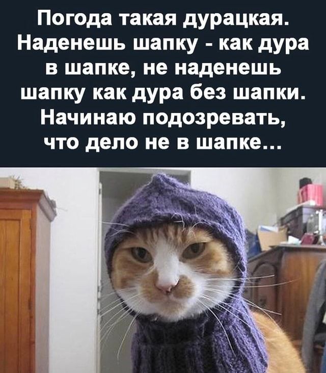 Пчола