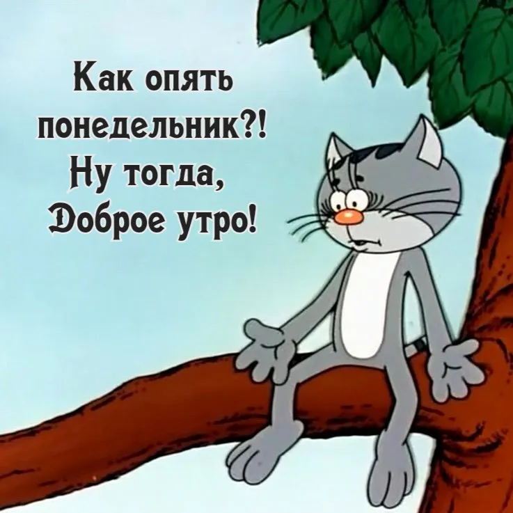 Прикольные картинки Доброе утро