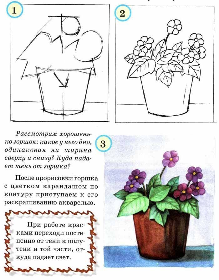 Рисунок фиалки поэтапно 