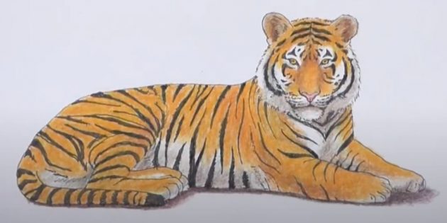 drawing of a tiger ПРОСТОЙ