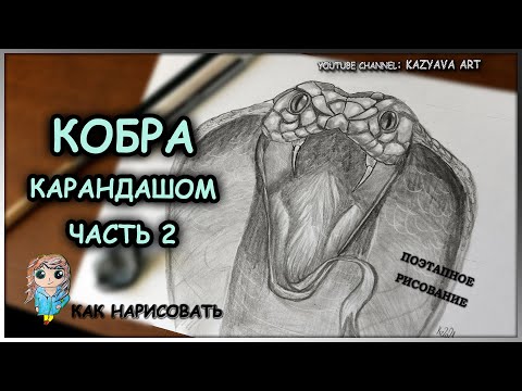 Как нарисовать кобру • Картинки для