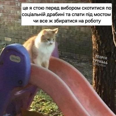 Мем с котом «Бу, испугался? Не бойся