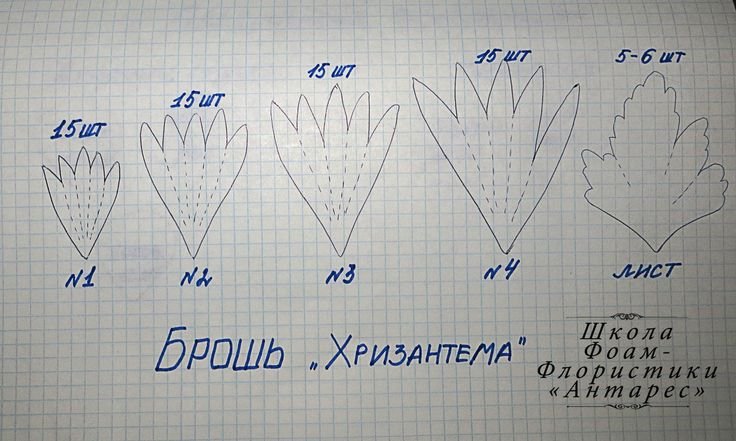 Трафареты хризантем для вырезания из бумаги 