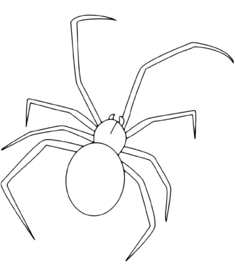 Как нарисовать паука карандашом поэтапно 4 | Spider, Drawings