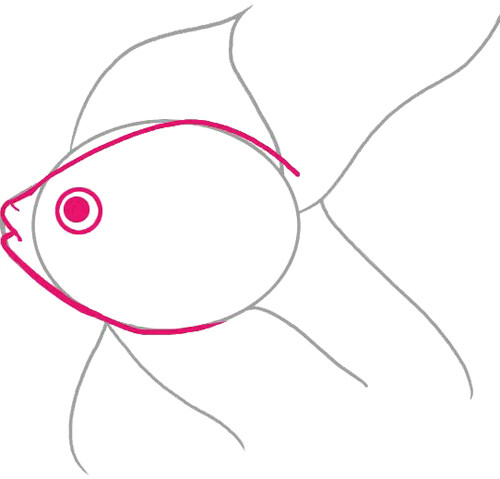 how to draw draw a goldfish. doodling