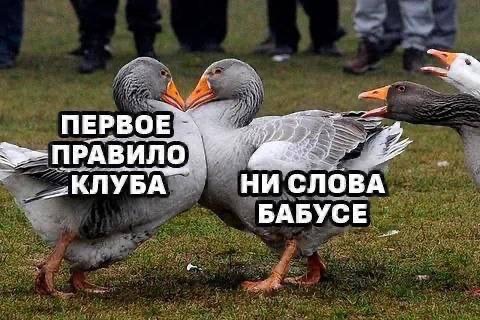 Цветной брелок для ключей, на рюкзак Гусь прикол мем, Goose