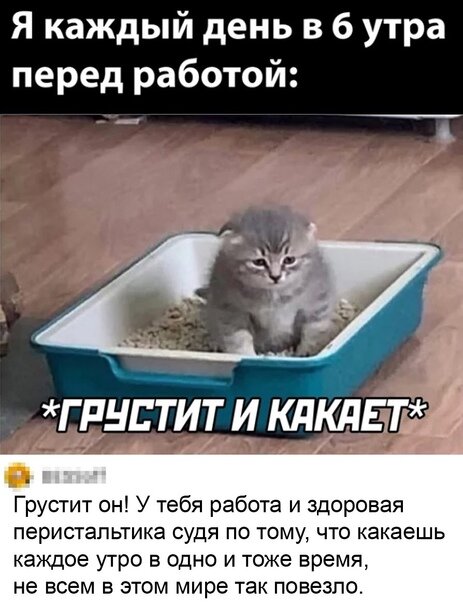 Шутки и мемы про работу 