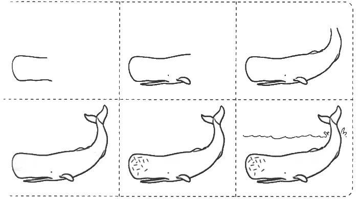 Раскраска Кашалот | Раскраски для детей