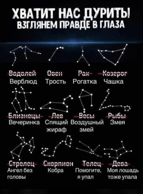 Если бы знаки зодиака были котиками