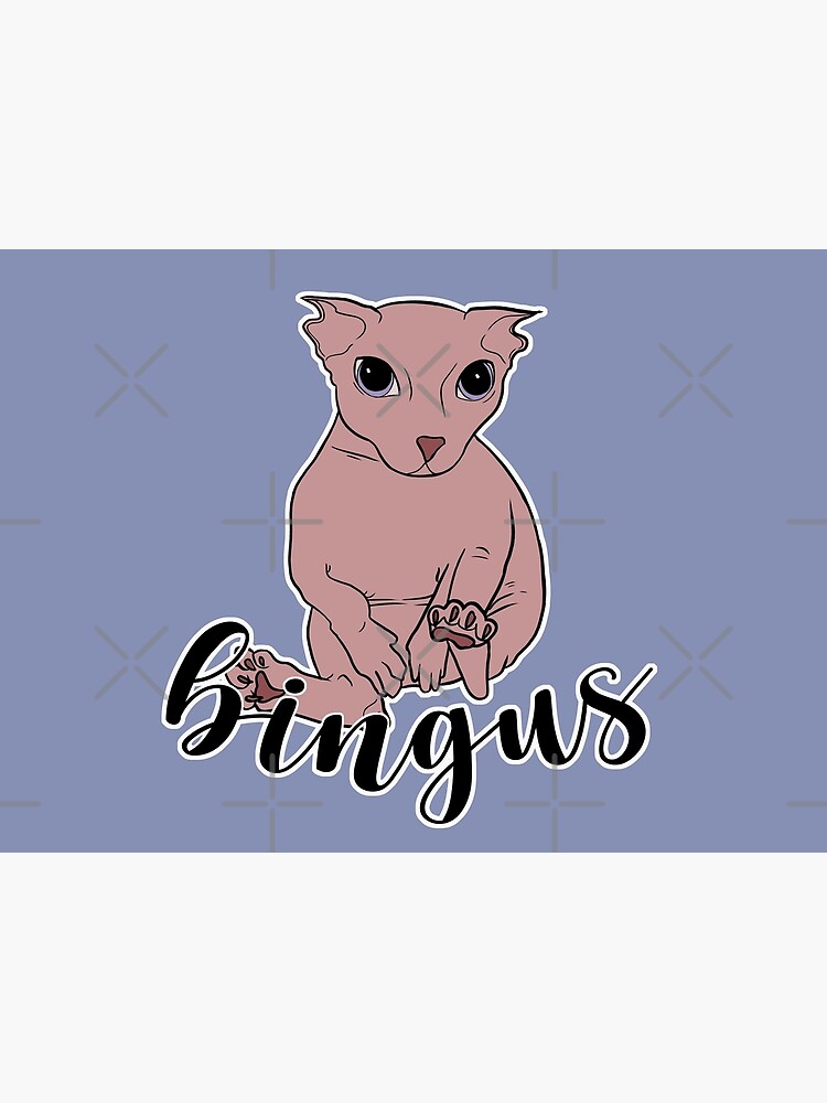 Amazon.com: My life is bingus meme cat T