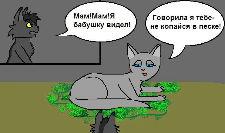 Прикольные картинки Коты воители