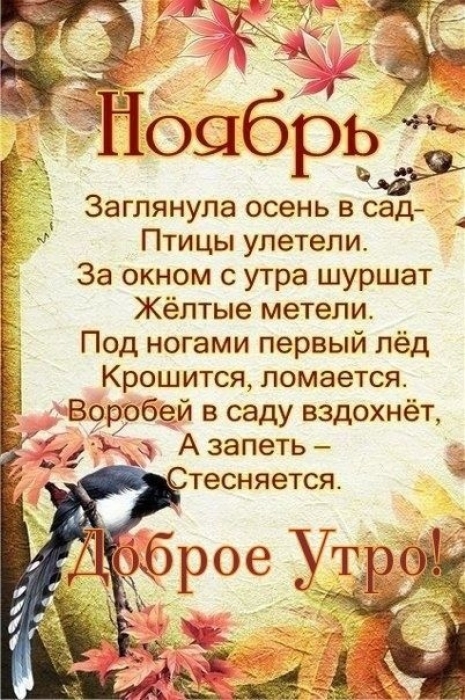 🍂🍁 ДОБРОЕ УТРО, ДРУЗЬЯ! ОТЛИЧНОГО ДНЯ! 🍁🍂 С добрым