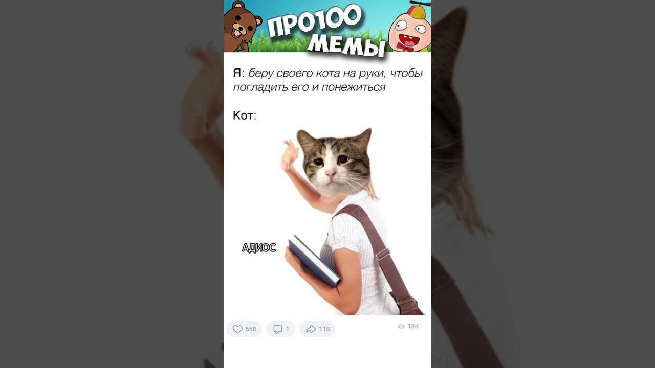 Самые смешные мемы с котами