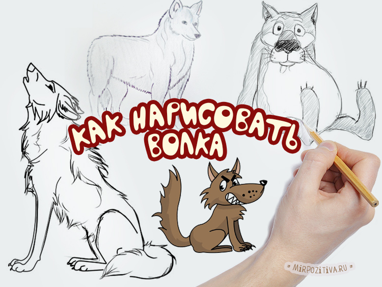 Как легко нарисовать волка черным маркером! | Art Alesya