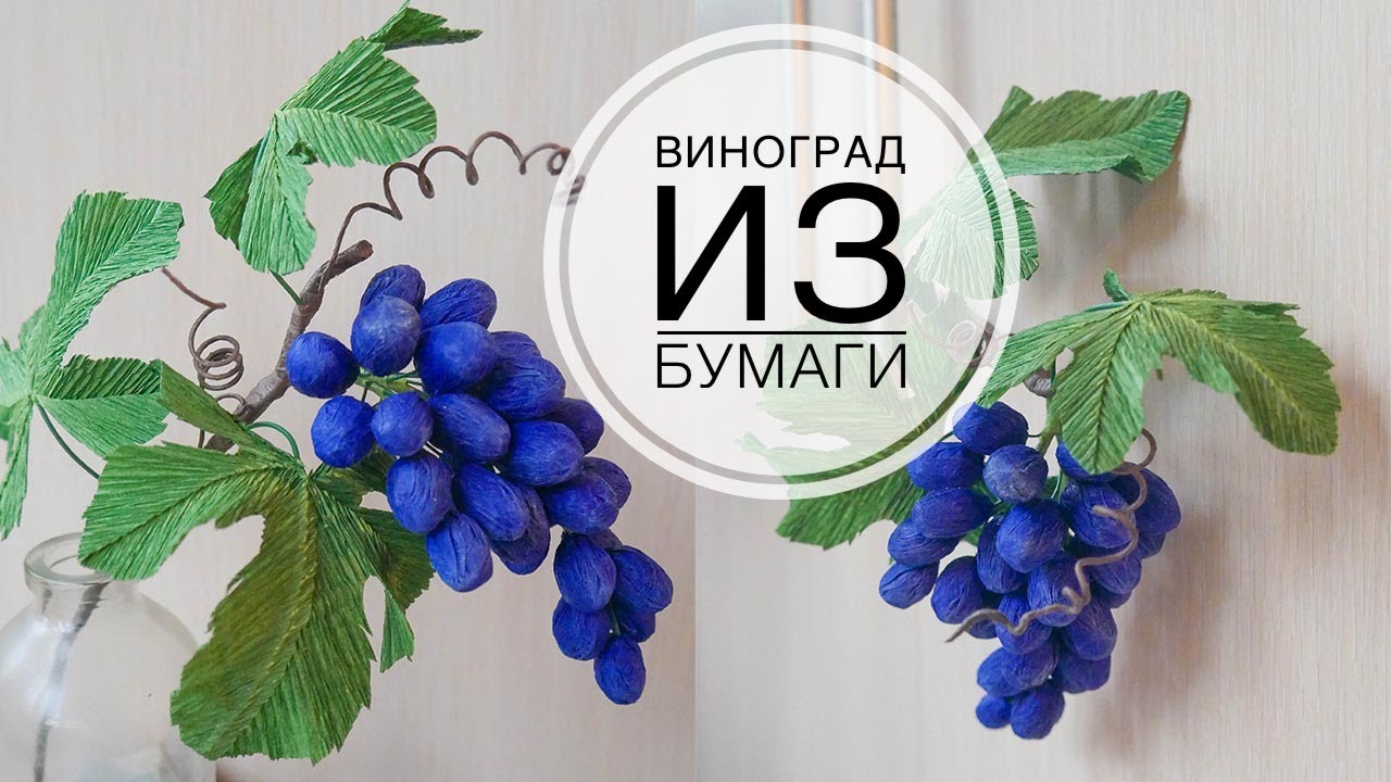 Коллаж из винограда. Листья и виноград. Шаблон для плаката