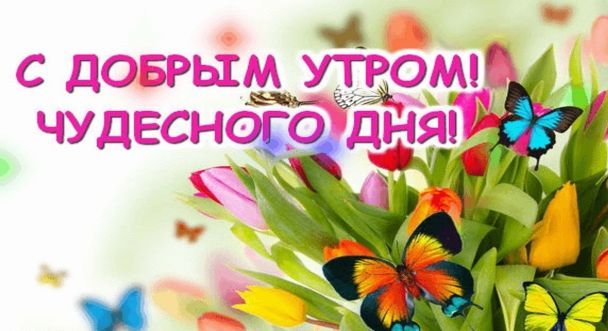 🌹Доброго Дня Отличного Настроения! Открытки Добрый День