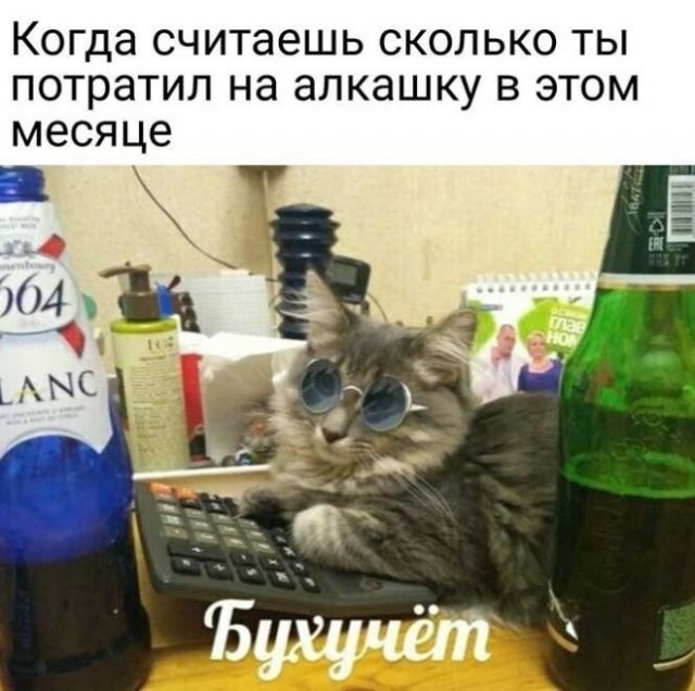 Мемы про алкоголь 