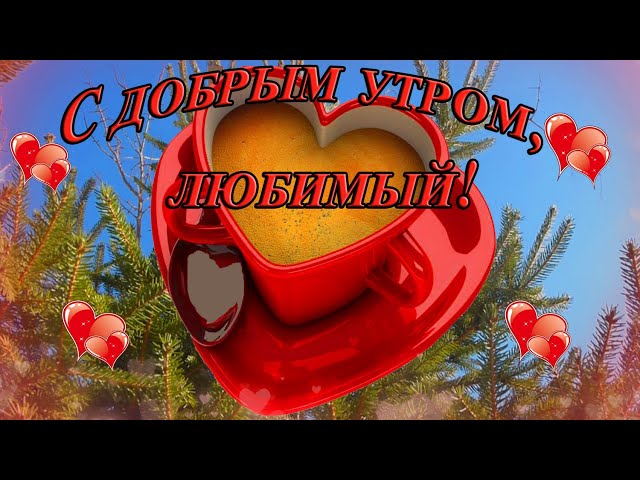 Доброе Утро Любимому Мужчине | TikTok