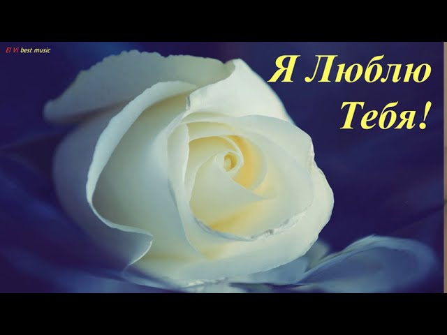 Доброе Утро С Белыми Розами | TikTok