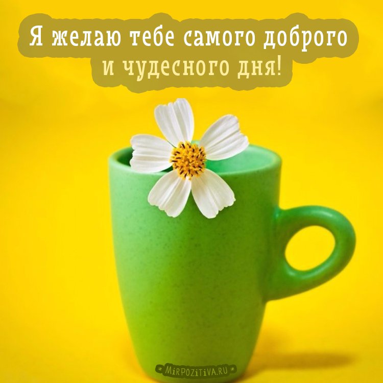 💗☕️Доброе Утро! Хорошего Дня!🌷Для