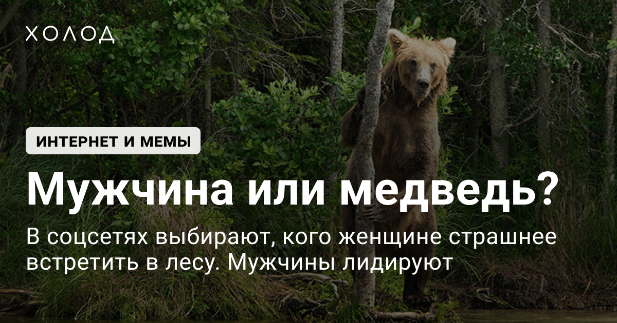 Холст «Медведь и заяц на огороде. Надпись. Юмор», купить в