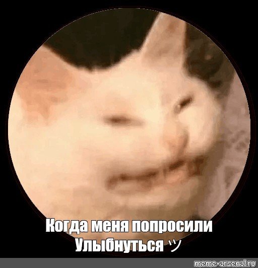 Мемы Улыбка кота