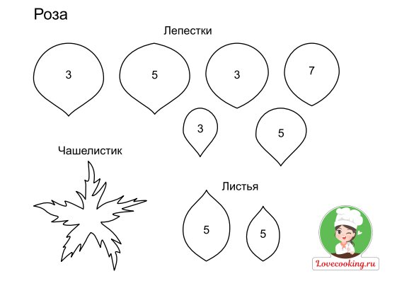 Шаблоны лепестки цветов по размеру