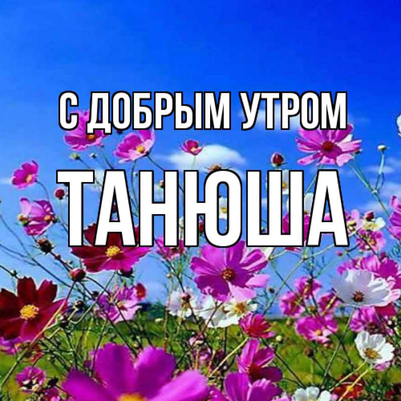 Открытка, Доброе утро, Таня, Танечка, Танюся, Танюша, Танюшка