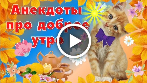 Анекдоты смешные до слёз! Короткие Смешные Анекдоты про