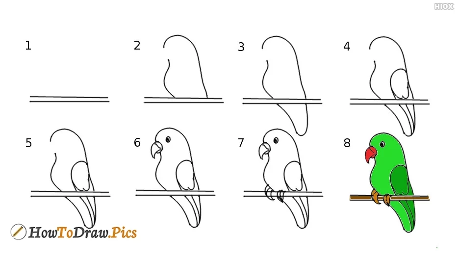 Как легко нарисовать поэтапно попугая