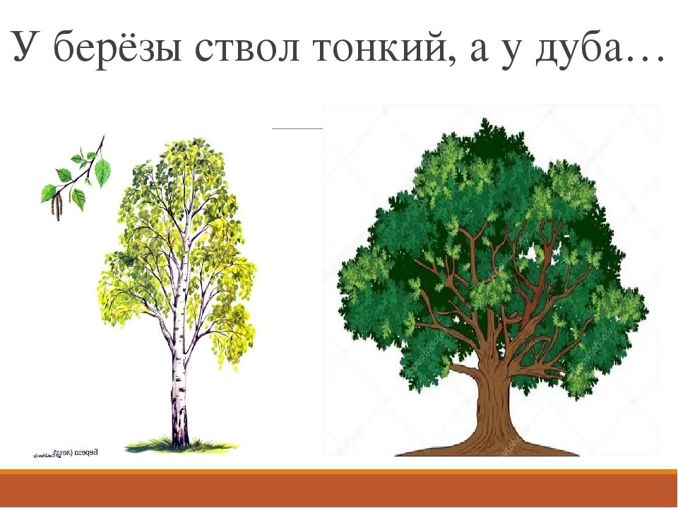 Раскраски для детей совы 22 штуки распечатать бесплатно