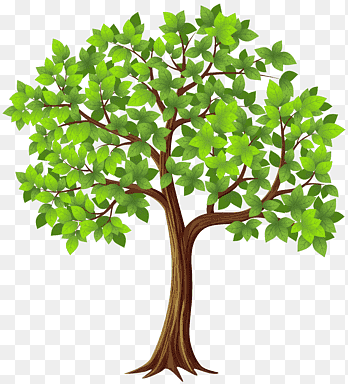 Tree PNG Images