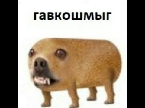 Создать мем 