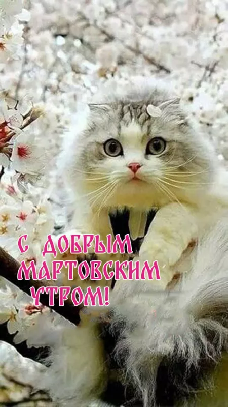 🌸✨🌸 С ДОБРЫМ МАРТОВСКИМ УТРОМ 🌸✨🌸 Уж снег растаял на