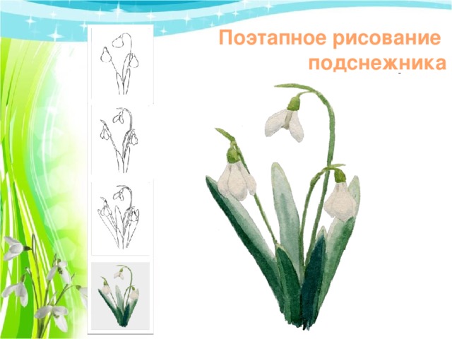 Как нарисовать ПОДСНЕЖНИКИ/ How to draw snowdrops