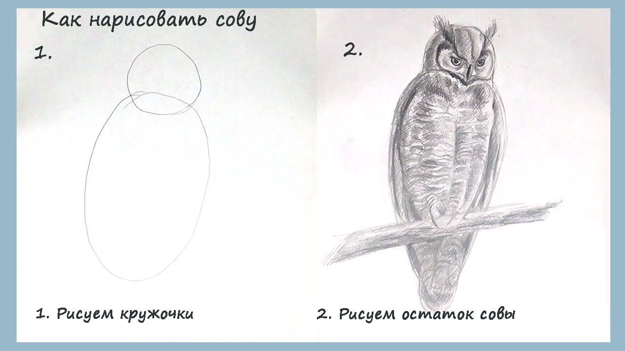 Как нарисовать сову поэтапно для детей