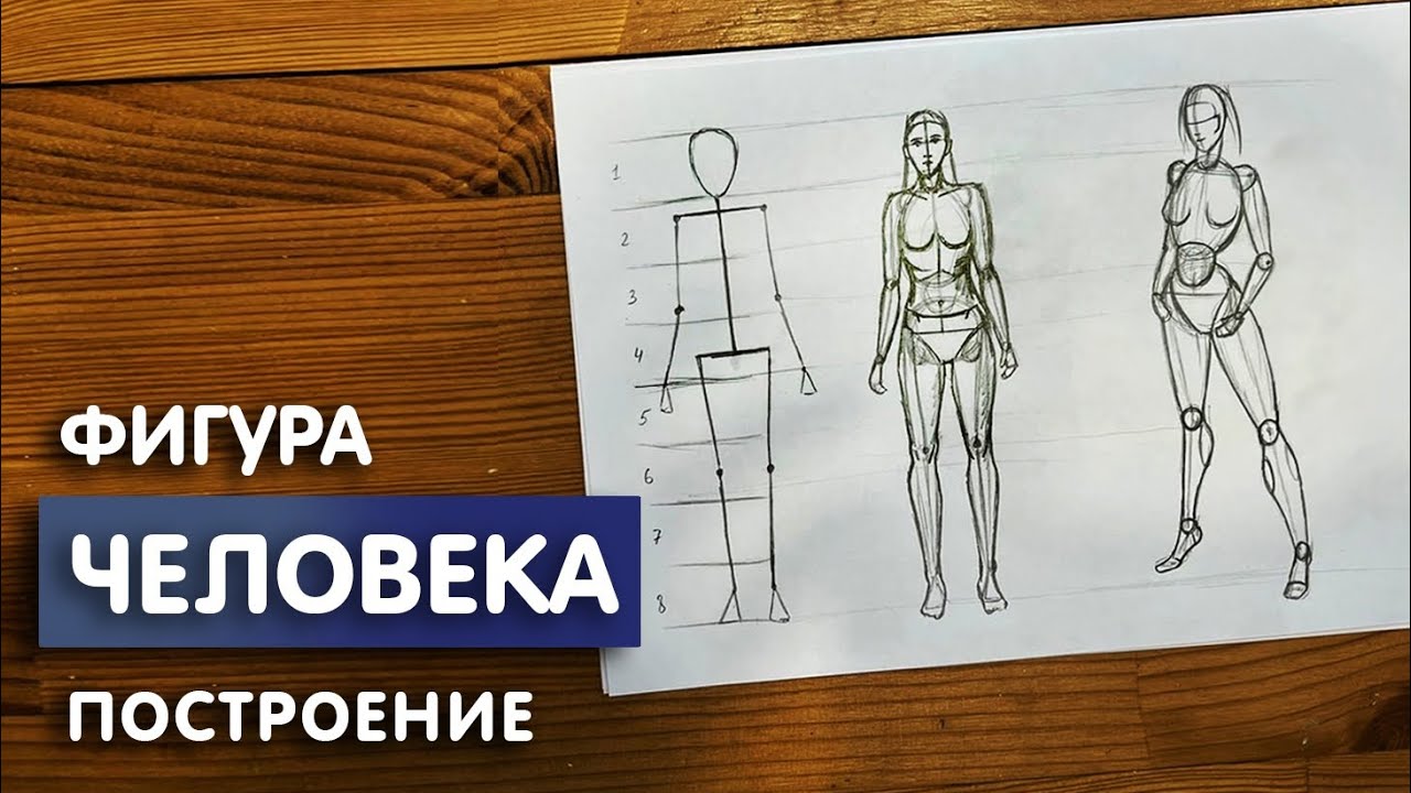 Как рисовать тело человека? Пошаговая