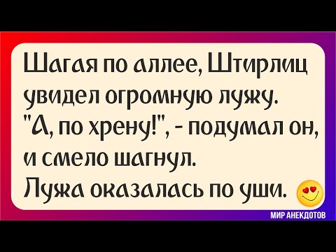 Анекдоты и шутки недели. Про Штирлица.