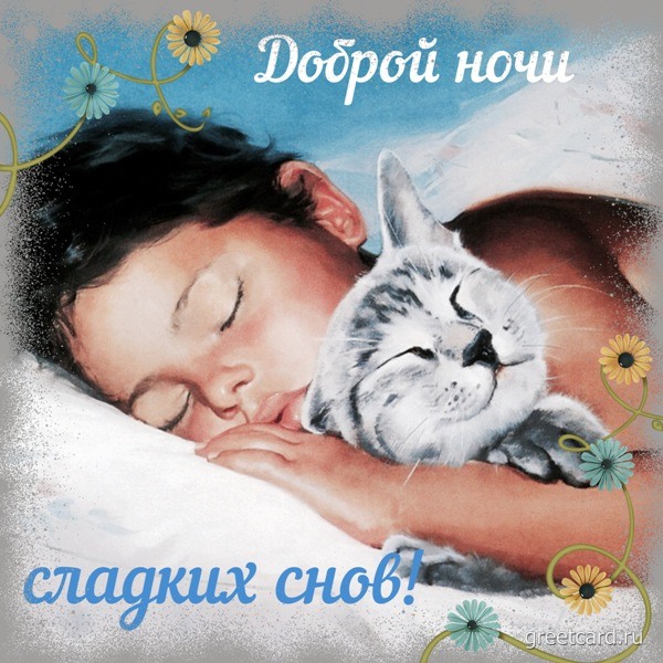 спокойной ночи! 😻😴good night! пожелание сладких снов от