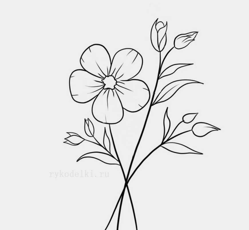 Vector black contour of lily flowers