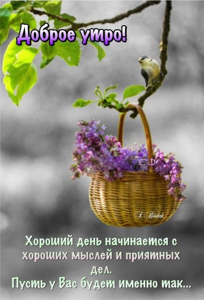 Природа с добрым утром картинки [графий]